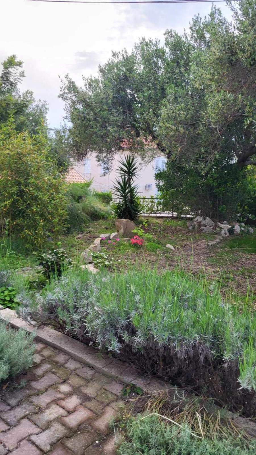 Banjol Apartman Padova מראה חיצוני תמונה
