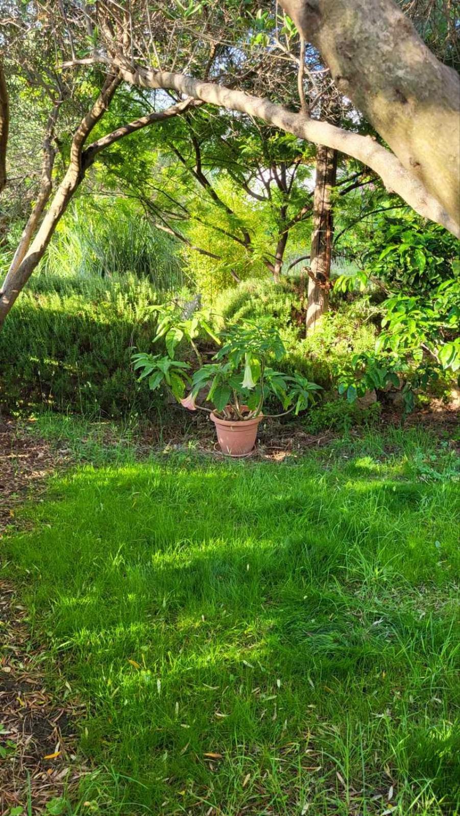 Banjol Apartman Padova מראה חיצוני תמונה